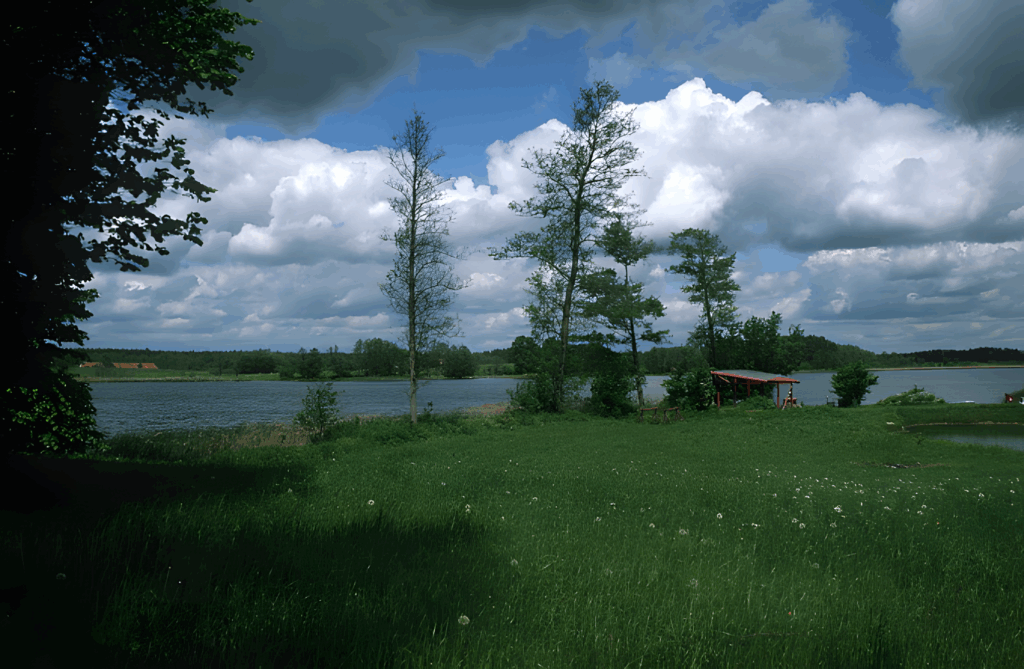 Wiese mit einem See im Hintergrund