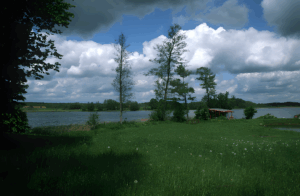 Wiese mit einem See im Hintergrund